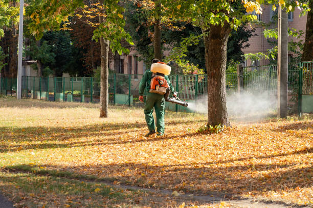 Best Mosquito Control Services  in Tenino, WA