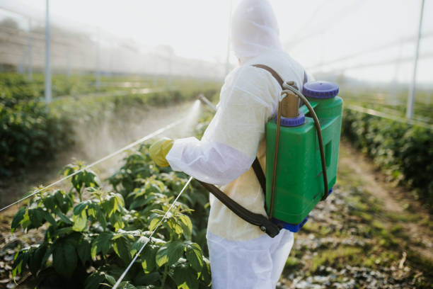 Best Pest Control Near Me  in Tenino, WA